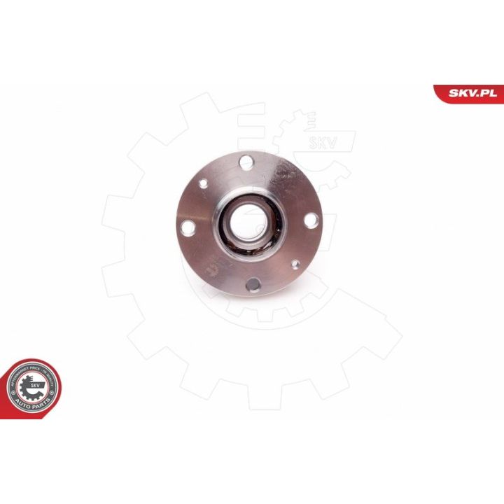 Rato guolio komplektas ESEN SKV 29SKV038