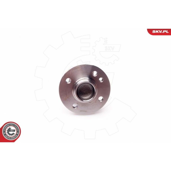 Rato guolio komplektas ESEN SKV 29SKV060