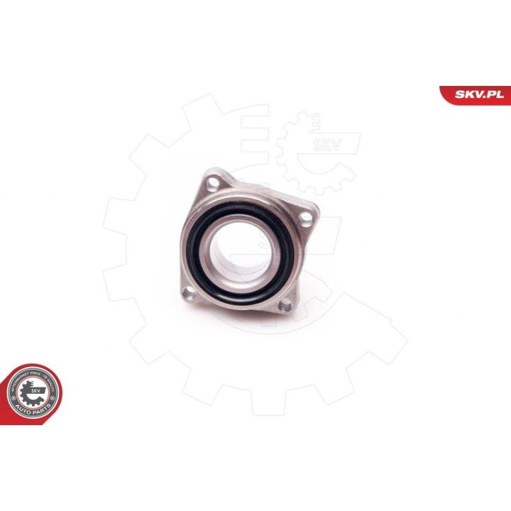 Rato guolio komplektas ESEN SKV 29SKV067