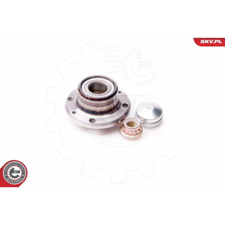 Rato guolio komplektas ESEN SKV 29SKV075