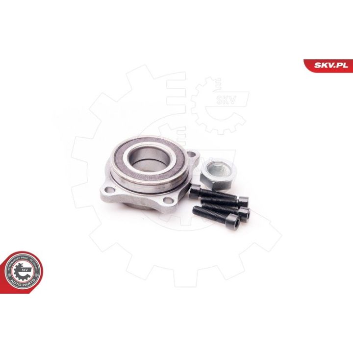 Rato guolio komplektas ESEN SKV 29SKV077