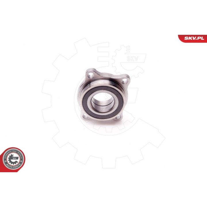 Rato guolio komplektas ESEN SKV 29SKV077