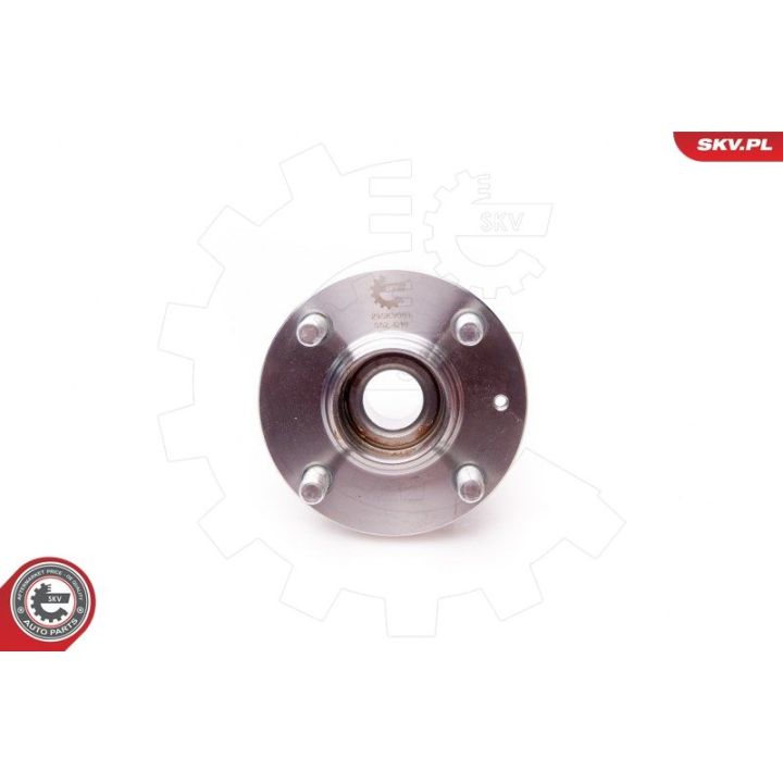 Rato guolio komplektas ESEN SKV 29SKV083