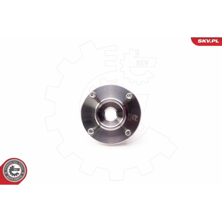 Rato guolio komplektas ESEN SKV 29SKV096