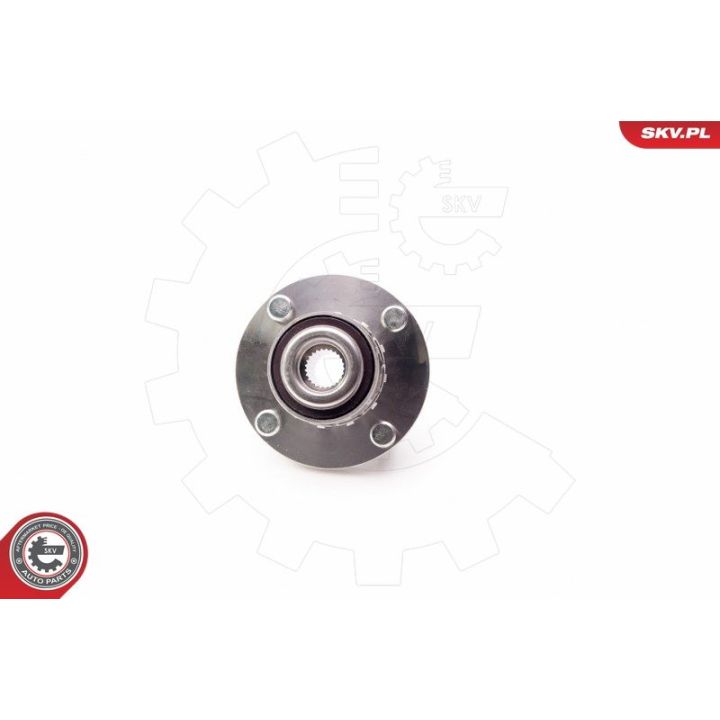 Rato guolio komplektas ESEN SKV 29SKV096