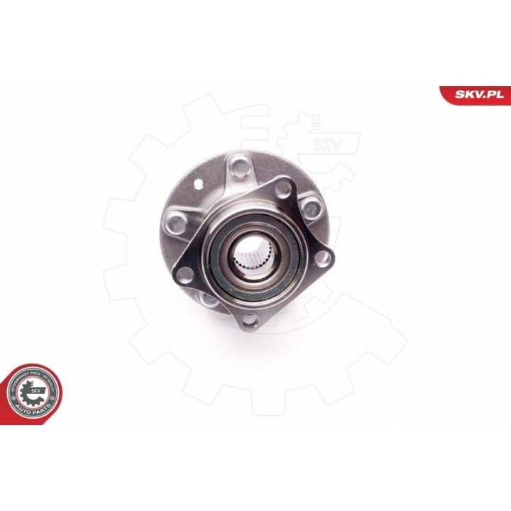 Rato guolio komplektas ESEN SKV 29SKV139