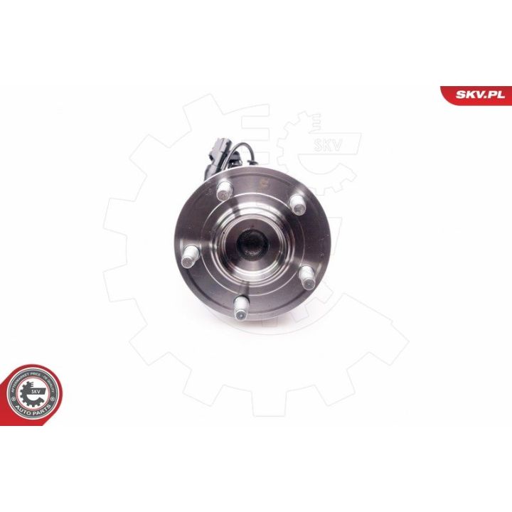 Rato guolio komplektas ESEN SKV 29SKV147