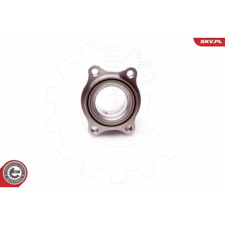 Rato guolio komplektas ESEN SKV 29SKV156