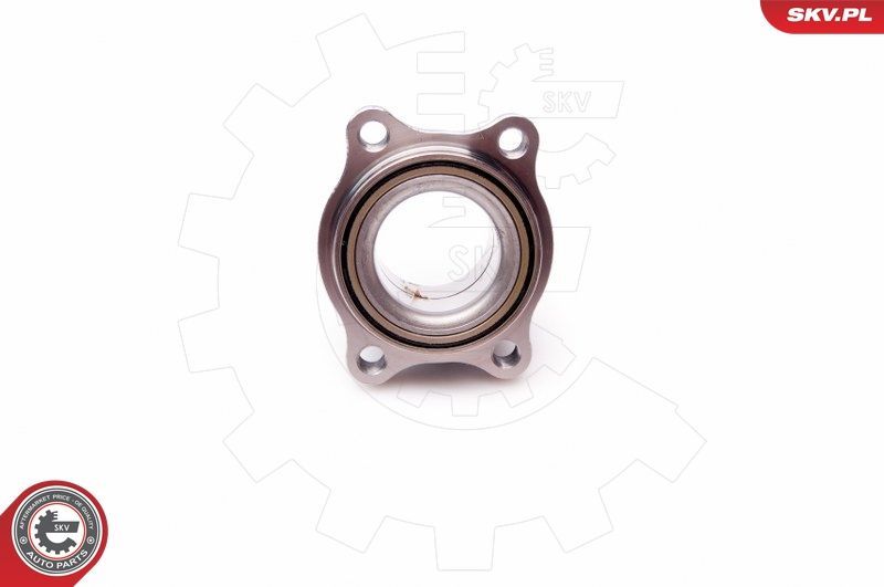 Rato guolio komplektas ESEN SKV 29SKV156