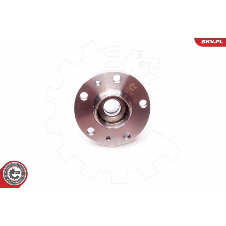 Rato guolio komplektas ESEN SKV 29SKV160