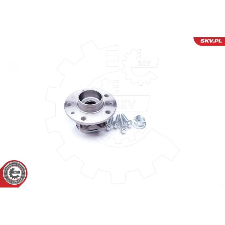 Rato guolio komplektas ESEN SKV 29SKV172