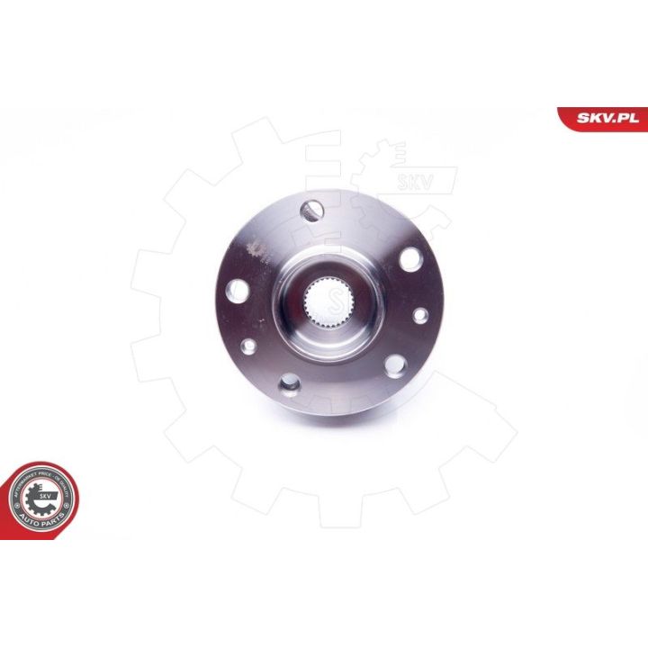 Rato guolio komplektas ESEN SKV 29SKV172