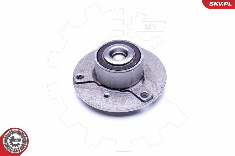 Rato guolio komplektas ESEN SKV 29SKV189