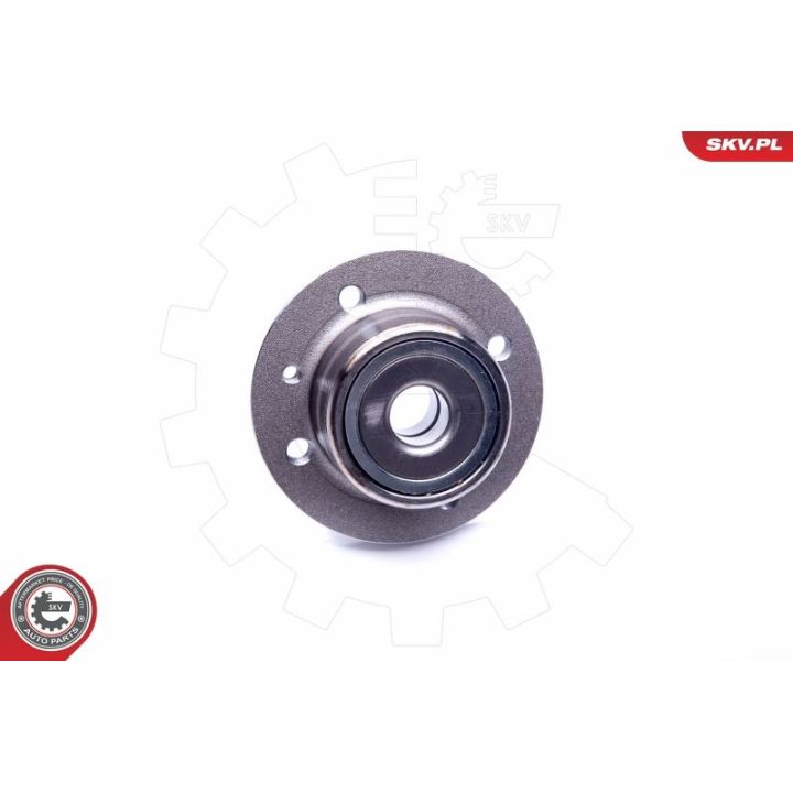 Rato guolio komplektas ESEN SKV 29SKV196