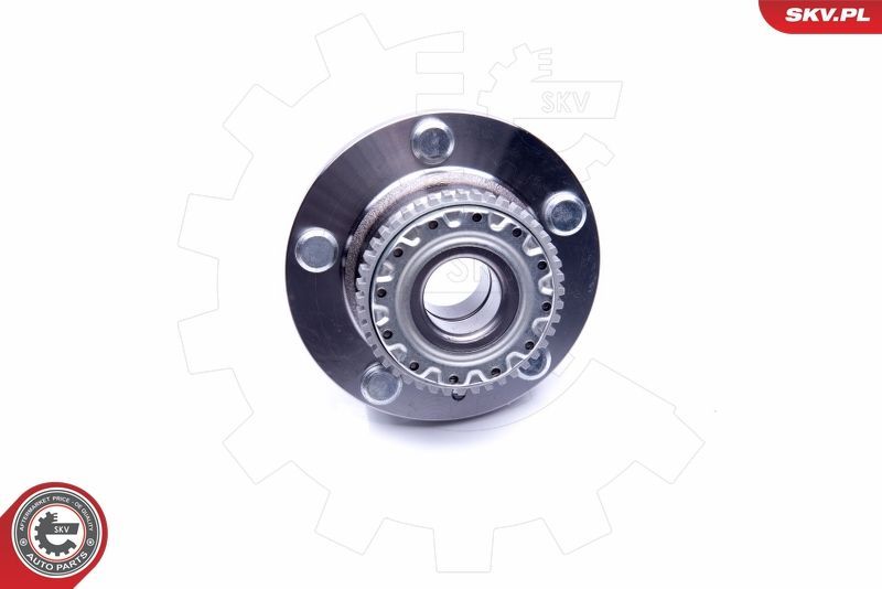 Rato guolio komplektas ESEN SKV 29SKV199