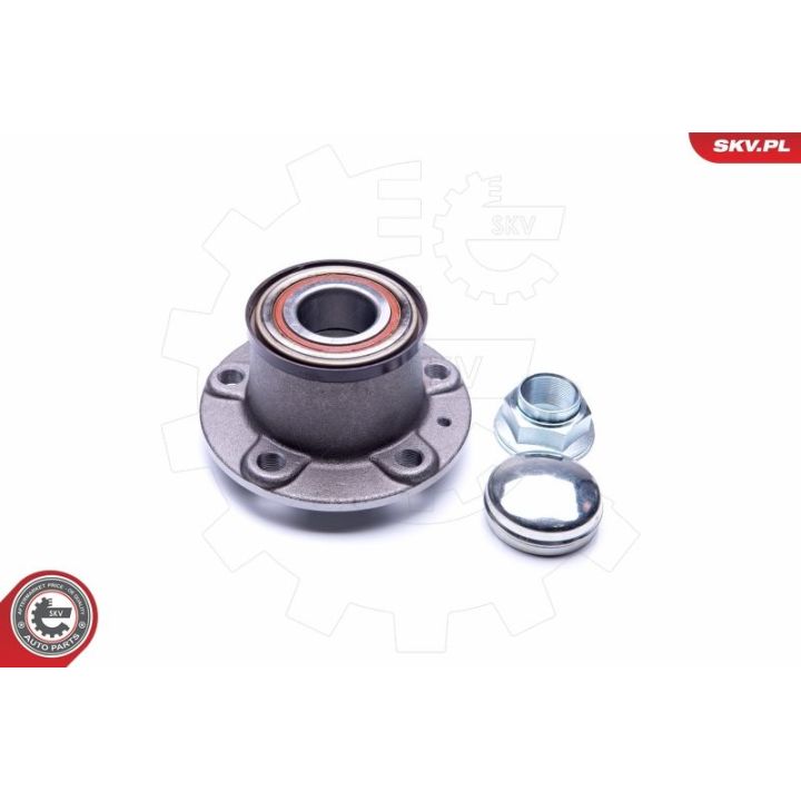 Rato guolio komplektas ESEN SKV 29SKV216