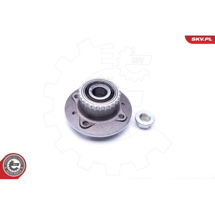 Rato guolio komplektas ESEN SKV 29SKV223