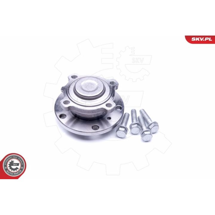 Rato guolio komplektas ESEN SKV 29SKV250