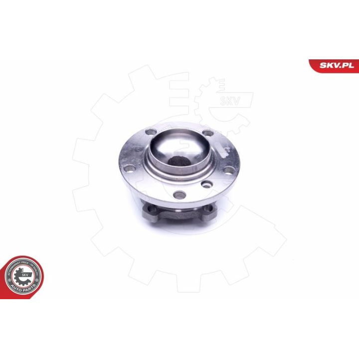 Rato guolio komplektas ESEN SKV 29SKV250