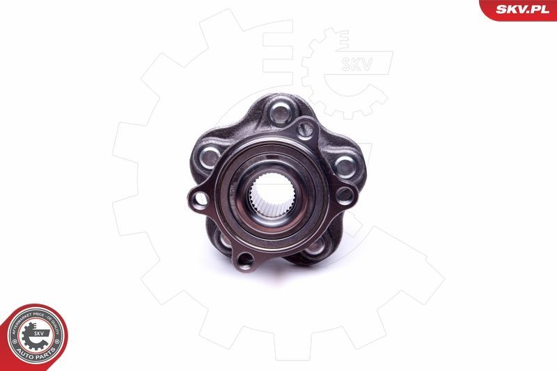 Rato guolio komplektas ESEN SKV 29SKV253