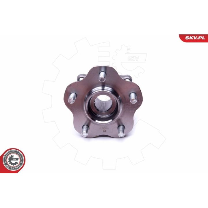 Rato guolio komplektas ESEN SKV 29SKV253