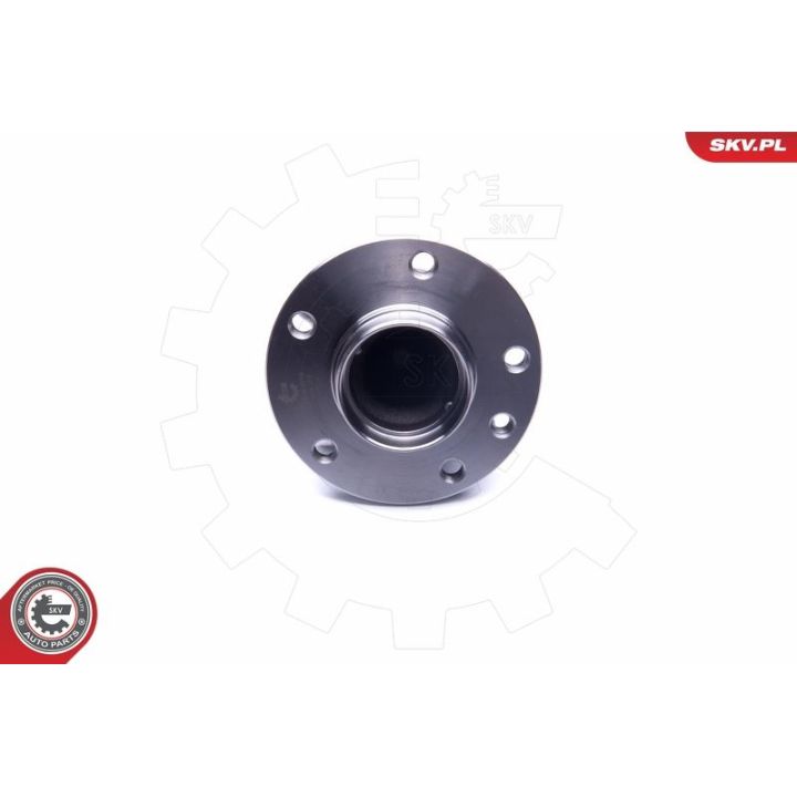 Rato guolio komplektas ESEN SKV 29SKV258