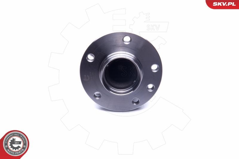 Rato guolio komplektas ESEN SKV 29SKV258