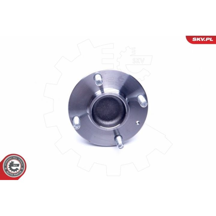 Rato guolio komplektas ESEN SKV 29SKV259