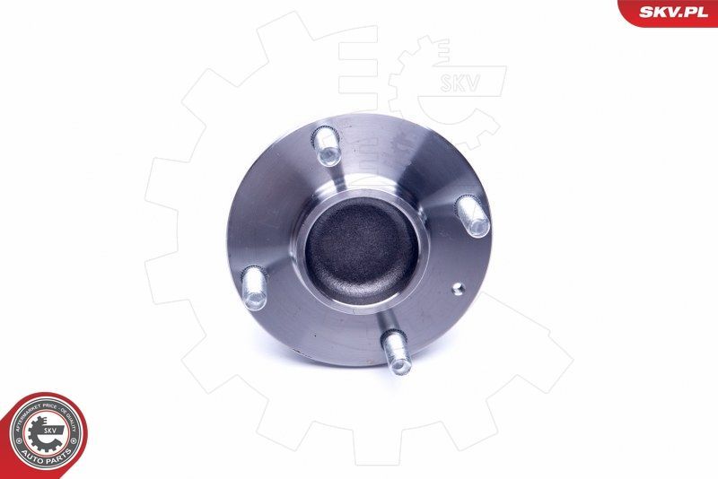 Rato guolio komplektas ESEN SKV 29SKV259