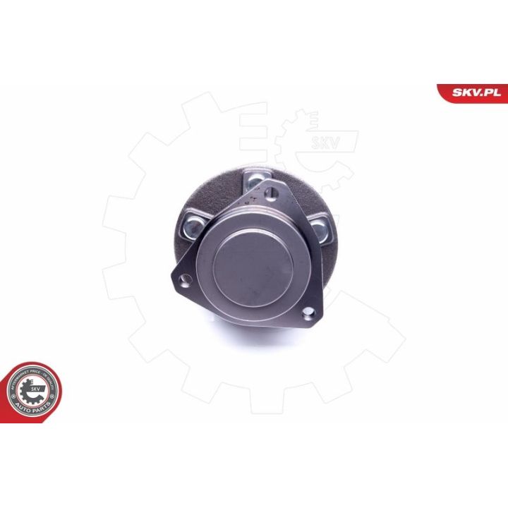 Rato guolio komplektas ESEN SKV 29SKV261