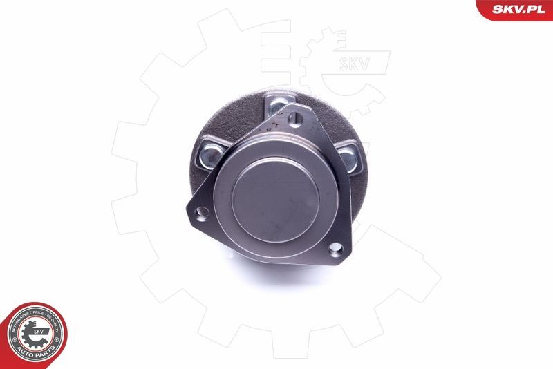 Rato guolio komplektas ESEN SKV 29SKV261