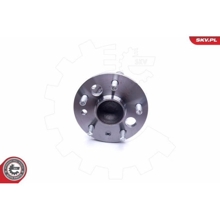 Rato guolio komplektas ESEN SKV 29SKV273