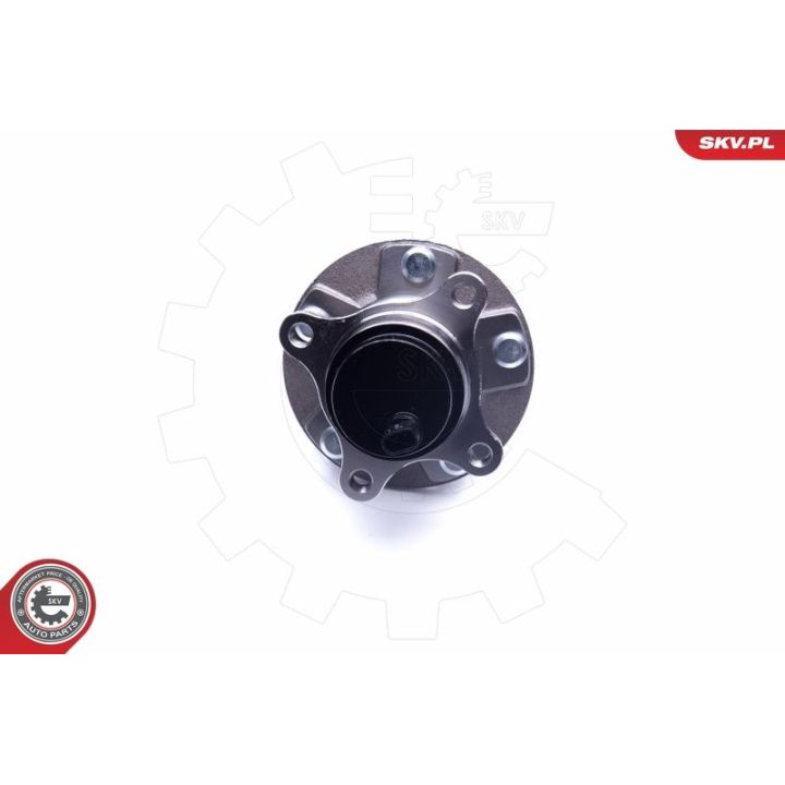 Rato guolio komplektas ESEN SKV 29SKV275