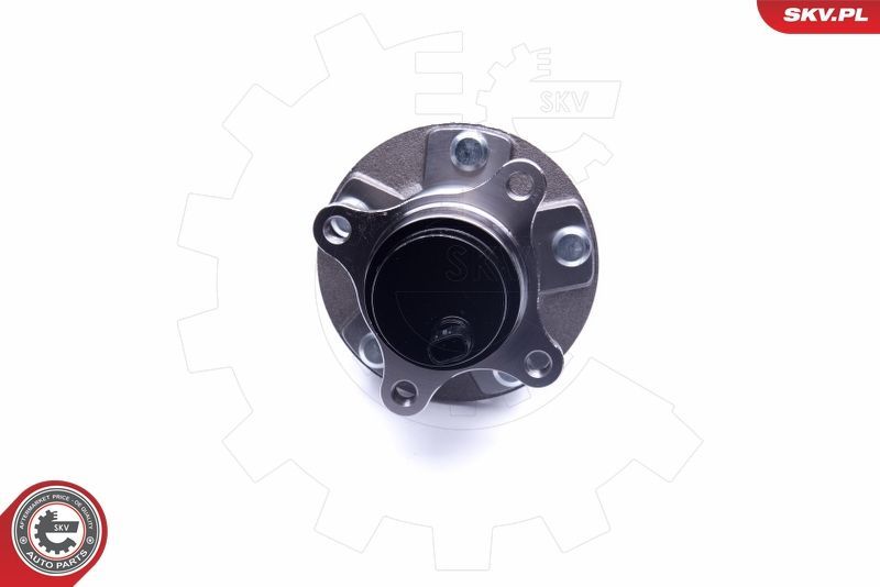 Rato guolio komplektas ESEN SKV 29SKV275