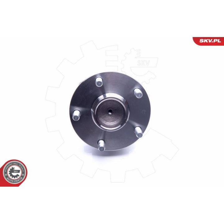 Rato guolio komplektas ESEN SKV 29SKV275