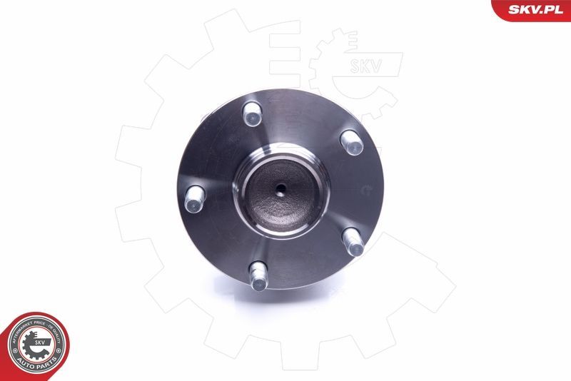 Rato guolio komplektas ESEN SKV 29SKV275