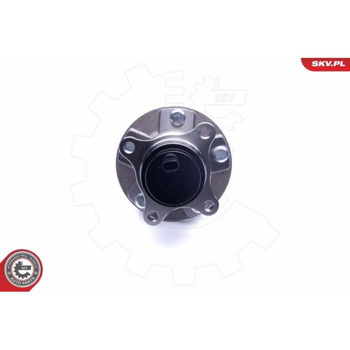 Rato guolio komplektas ESEN SKV 29SKV276