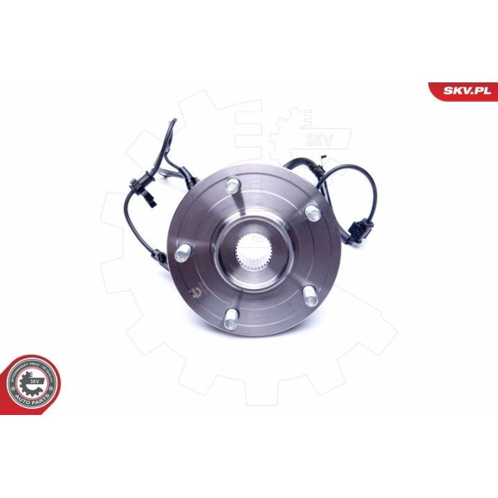 Rato guolio komplektas ESEN SKV 29SKV280