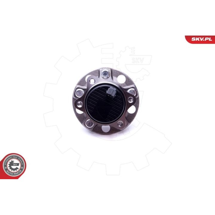 Rato guolio komplektas ESEN SKV 29SKV293