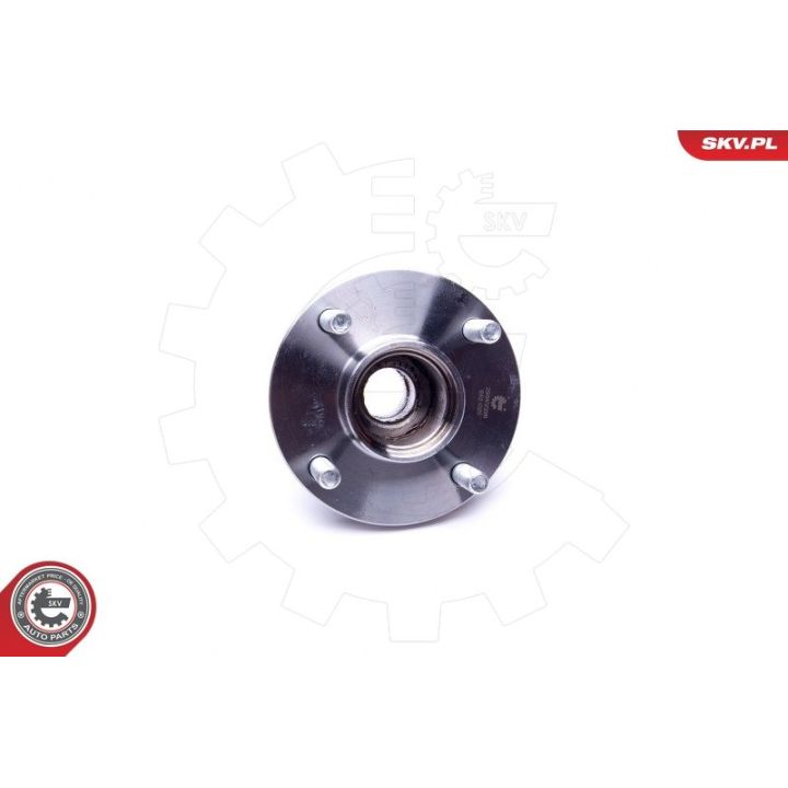 Rato guolio komplektas ESEN SKV 29SKV296