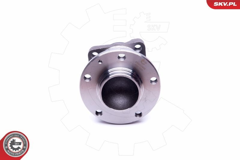 Rato guolio komplektas ESEN SKV 29SKV302