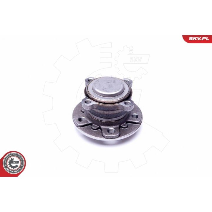 Rato guolio komplektas ESEN SKV 29SKV303