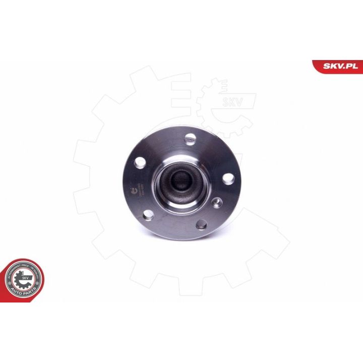 Rato guolio komplektas ESEN SKV 29SKV303