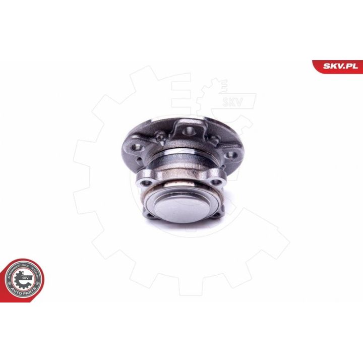 Rato guolio komplektas ESEN SKV 29SKV303