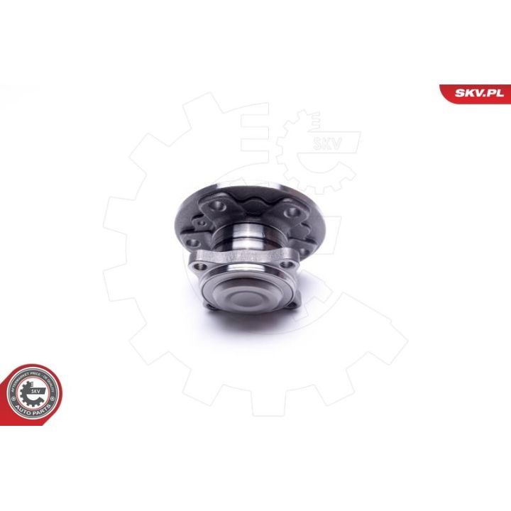 Rato guolio komplektas ESEN SKV 29SKV317