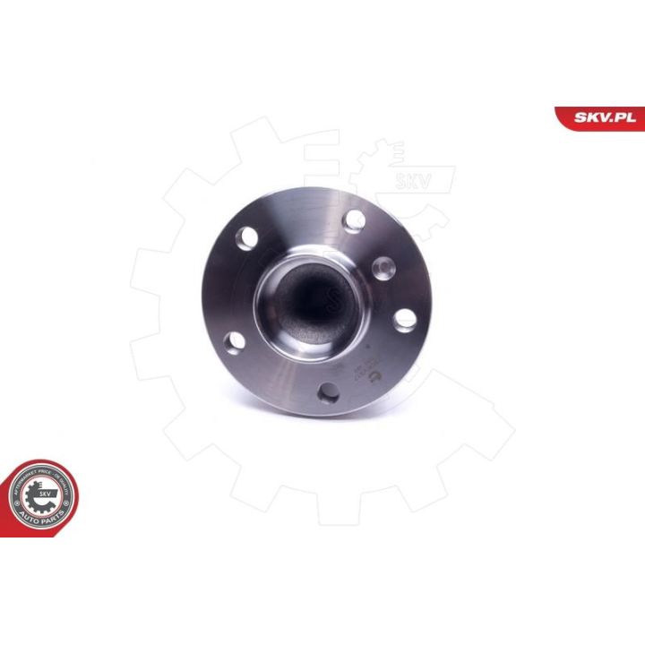 Rato guolio komplektas ESEN SKV 29SKV317