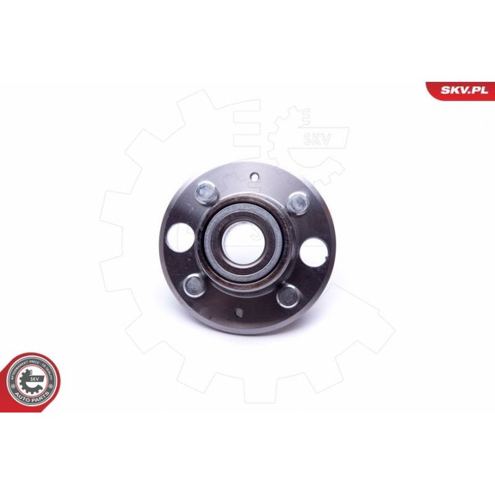 Rato guolio komplektas ESEN SKV 29SKV341