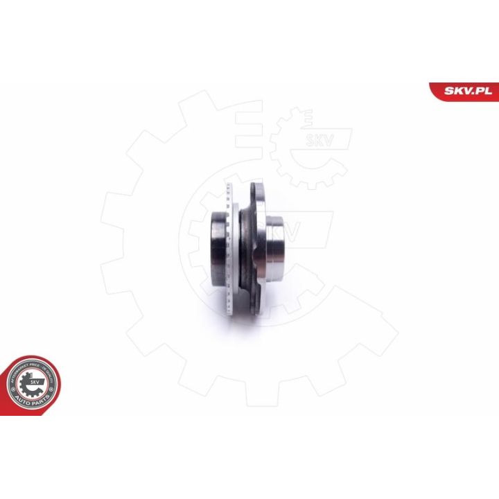 Rato guolio komplektas ESEN SKV 29SKV347