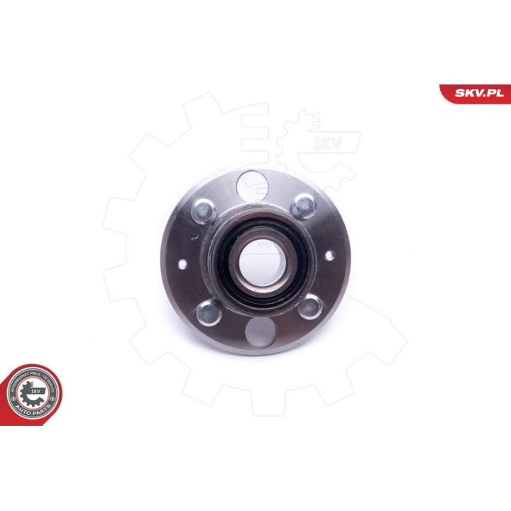 Rato guolio komplektas ESEN SKV 29SKV351