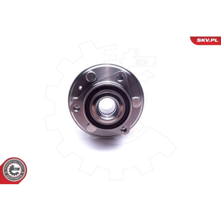 Rato guolio komplektas ESEN SKV 29SKV352